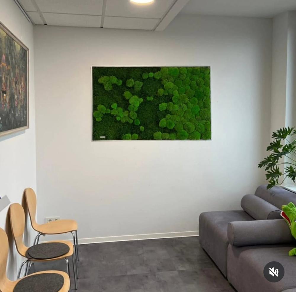 House of Smile – Wartezimmer mit Wald- und Kugelmoosbild