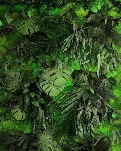 Konservierte Dschungelwand mit Monstera- und Palmblättern
