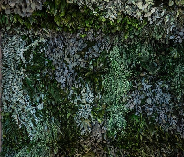 Maßgefertigte Pflanzenwand mit Eukalyptus und Farnen
