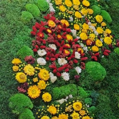 Mixwand (Moos + Pflanzen / Blumen)