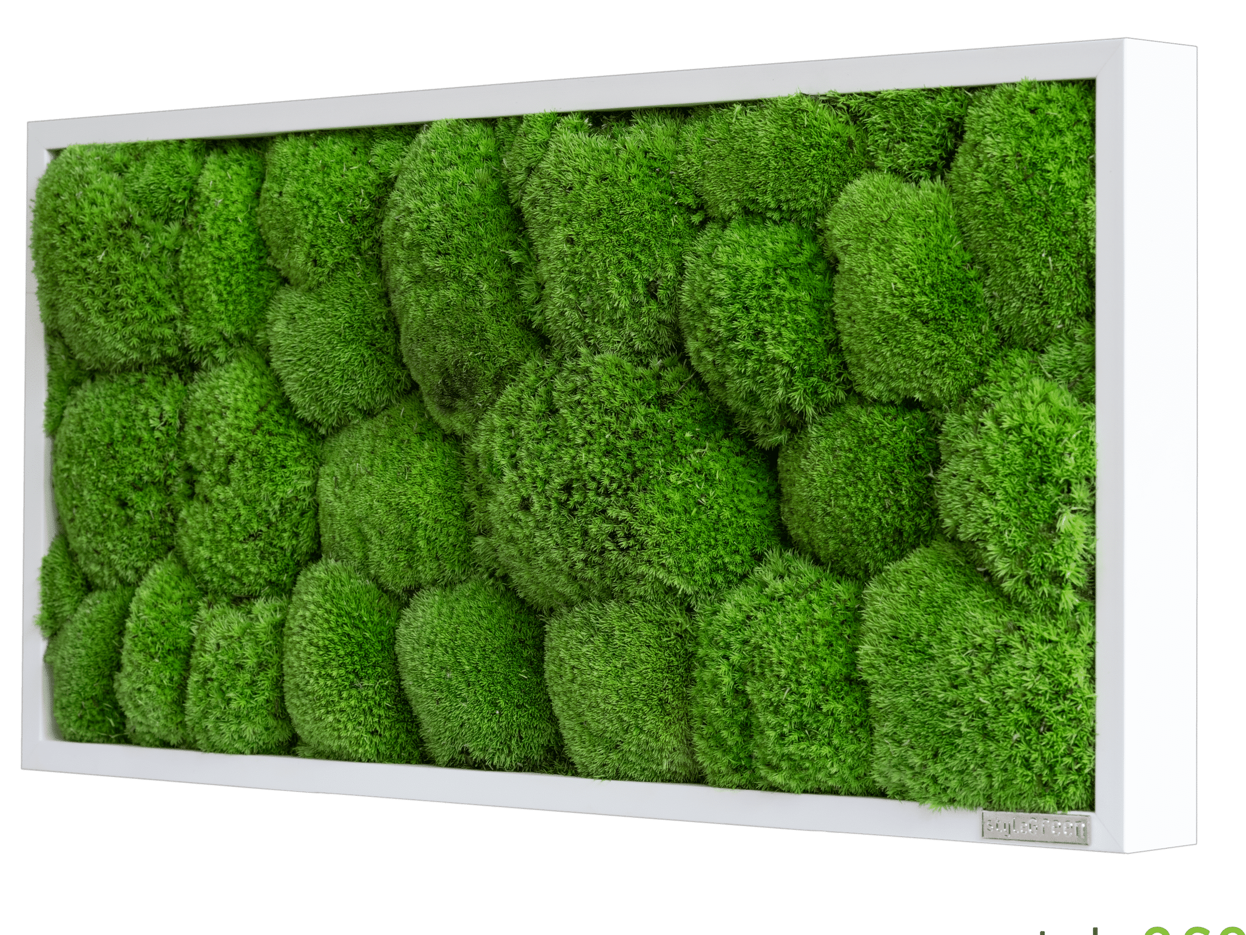 Kugelmoos_57x27_sG-Mb-Km-57x27 Seitlich