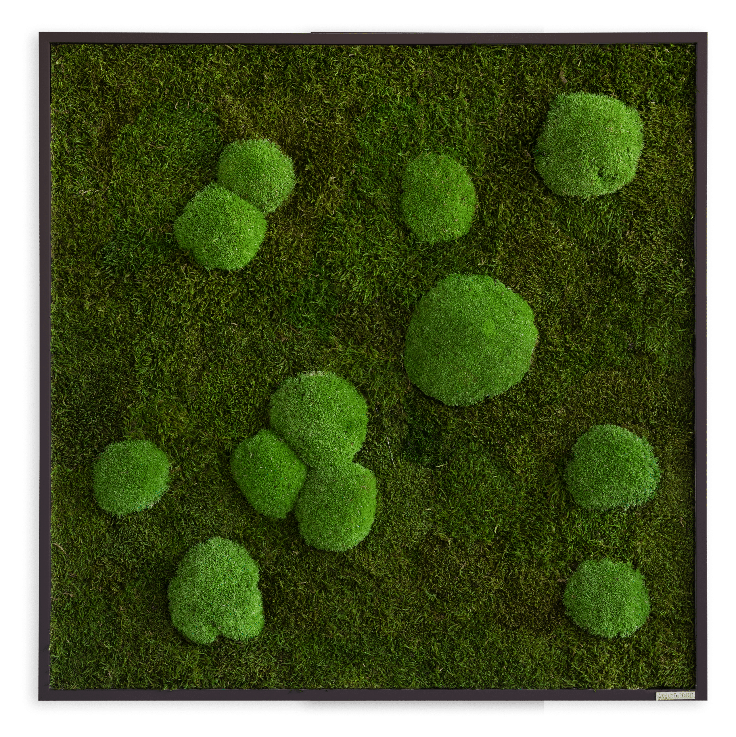 Wald-und-Kugelmoos_Moosbild_80x80_Frontal_mitSchatten_schwarzer_Rahmen