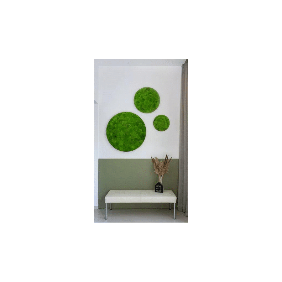 bestofGREEN_3er Set Kugelmoos Kreise.1