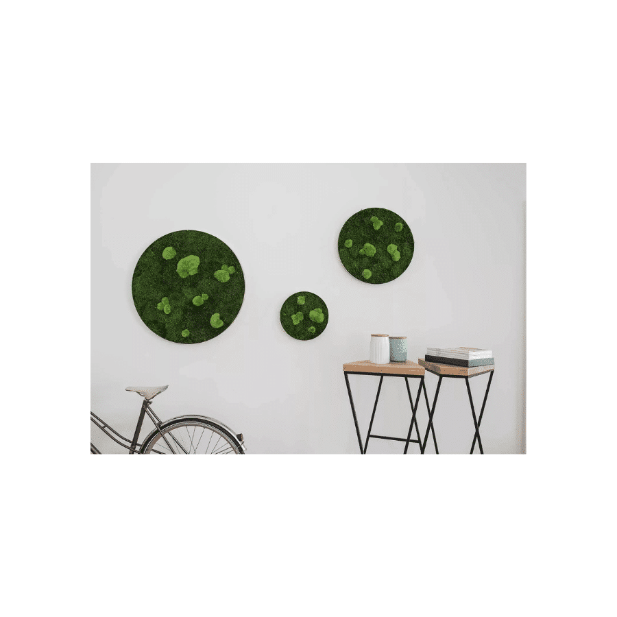 bestofGREEN_3er Set Wald-und Kugelmoos Kreise.1