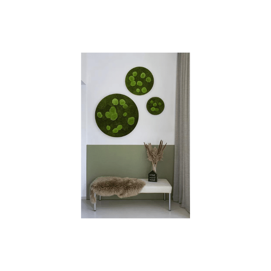 bestofGREEN_3er Set Wald-und Kugelmoos Kreise.2