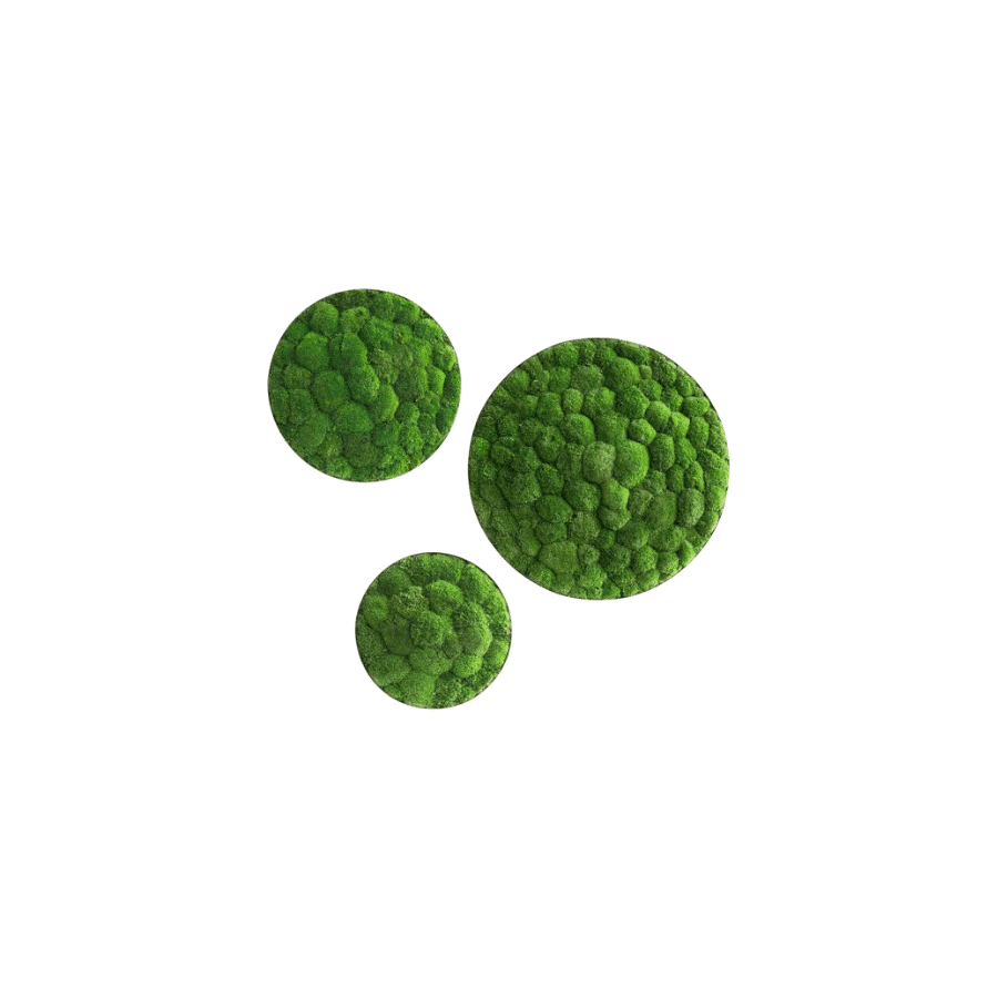 bestofGREEN_3er Set Wald-und Kugelmoos Kreise.3