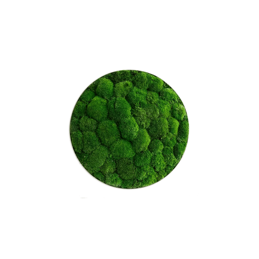 bestofGREEN_Kreis Kugelmoos_54