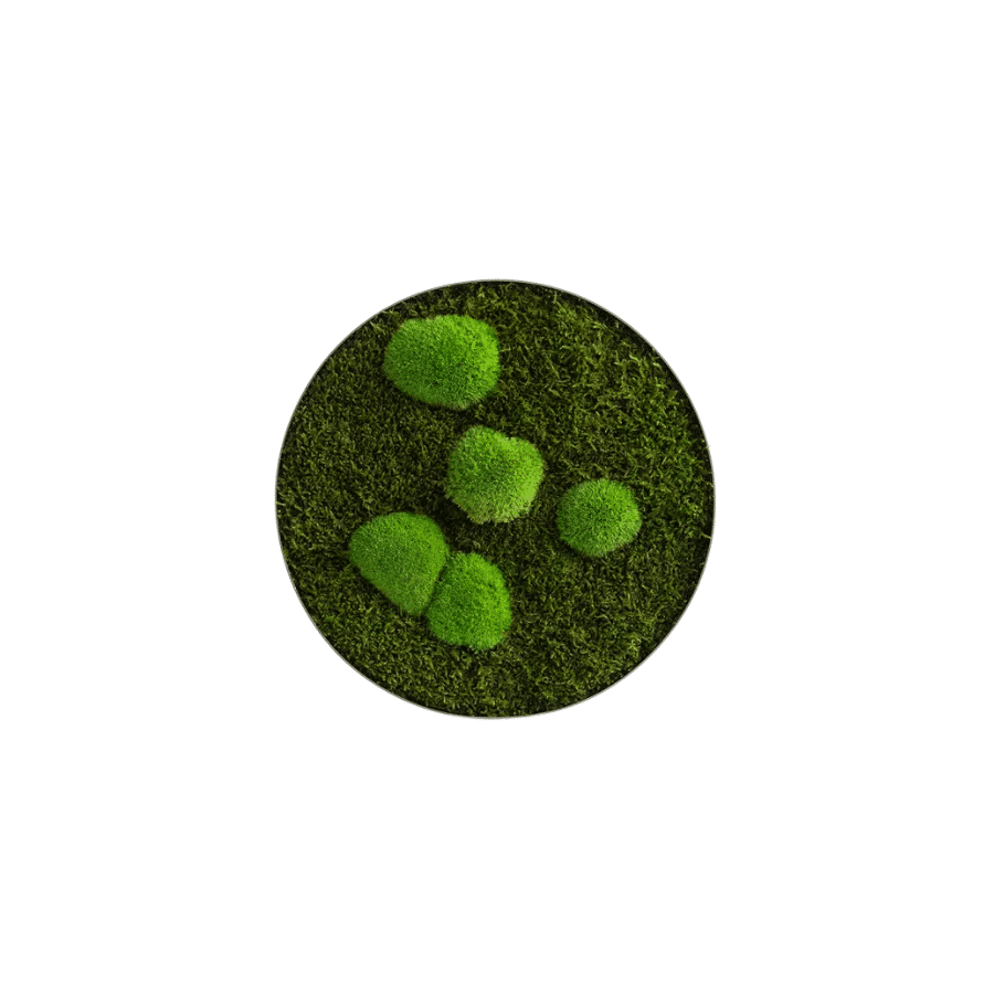 bestofGREEN_Wald- undKugelmooskreis_34cm