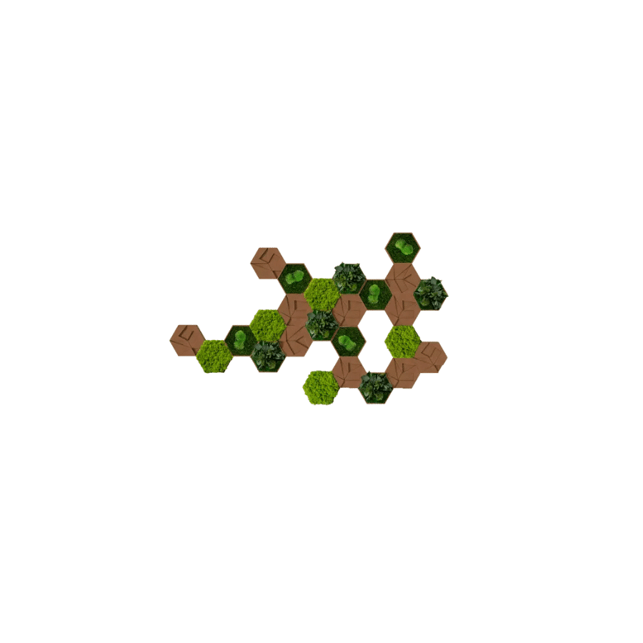 bestofGreen_ Kork_Hexagon_ 25Set_4