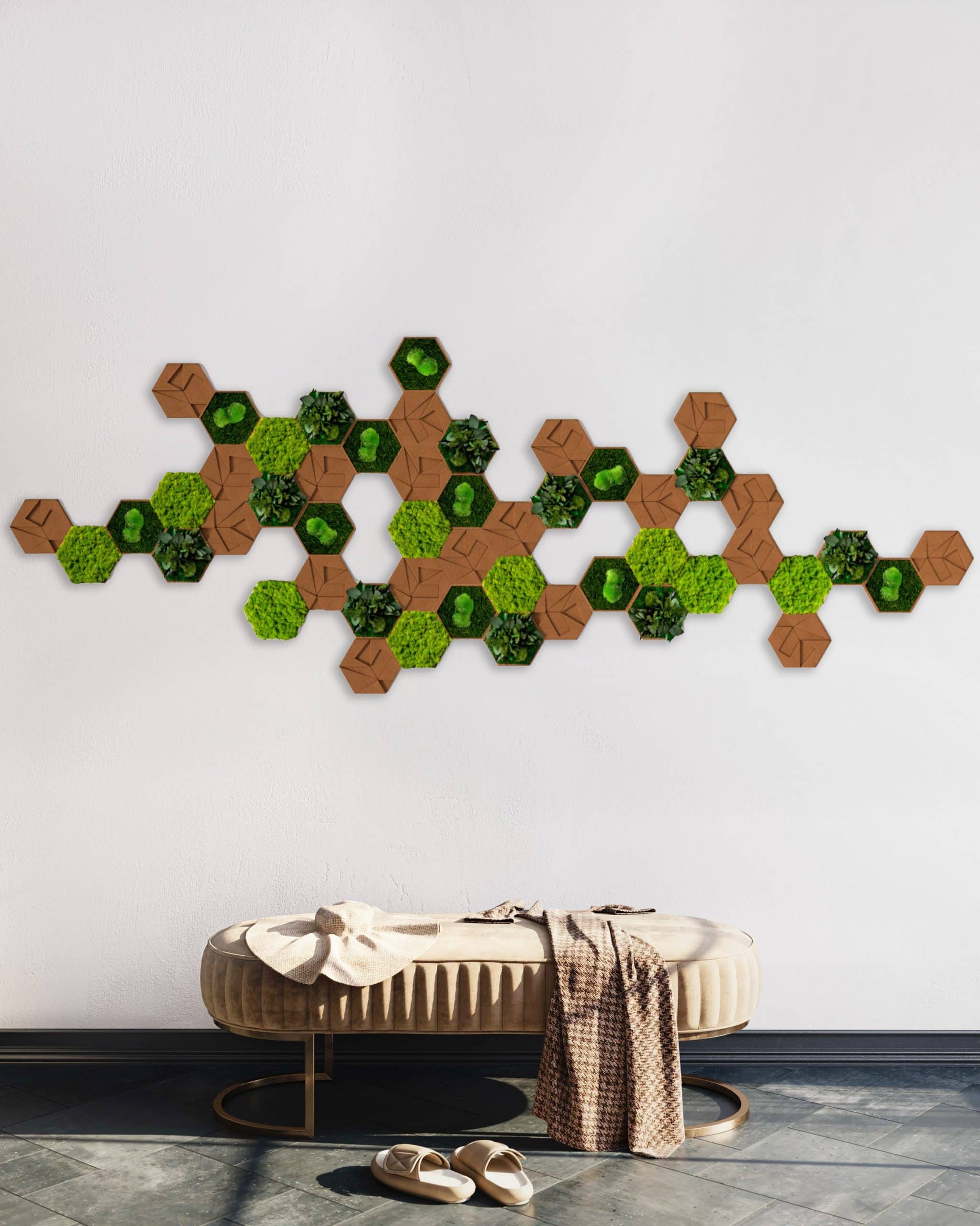 bestofGreen_ Kork_Hexagon_ 50Set_2