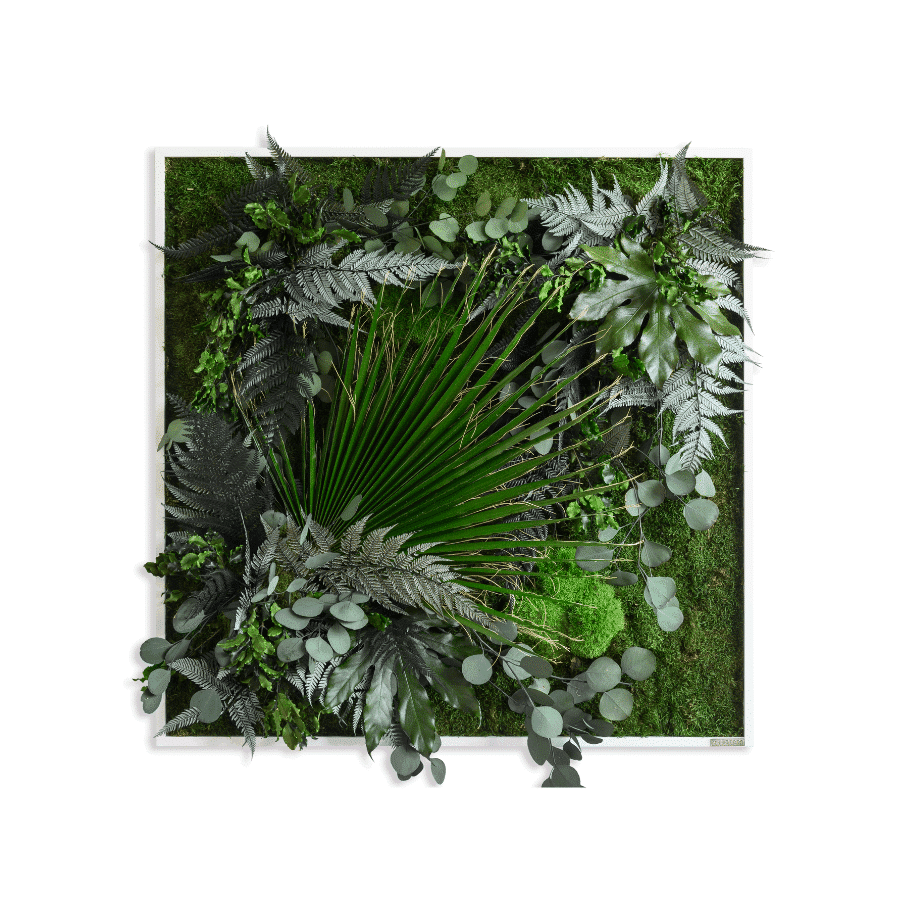 Design ohne Titel (62)