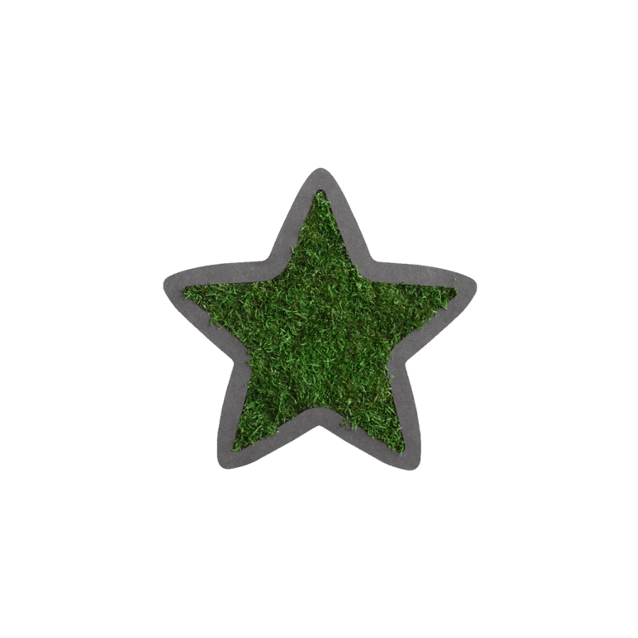 bestofGREEN_Stern_Waldmoos