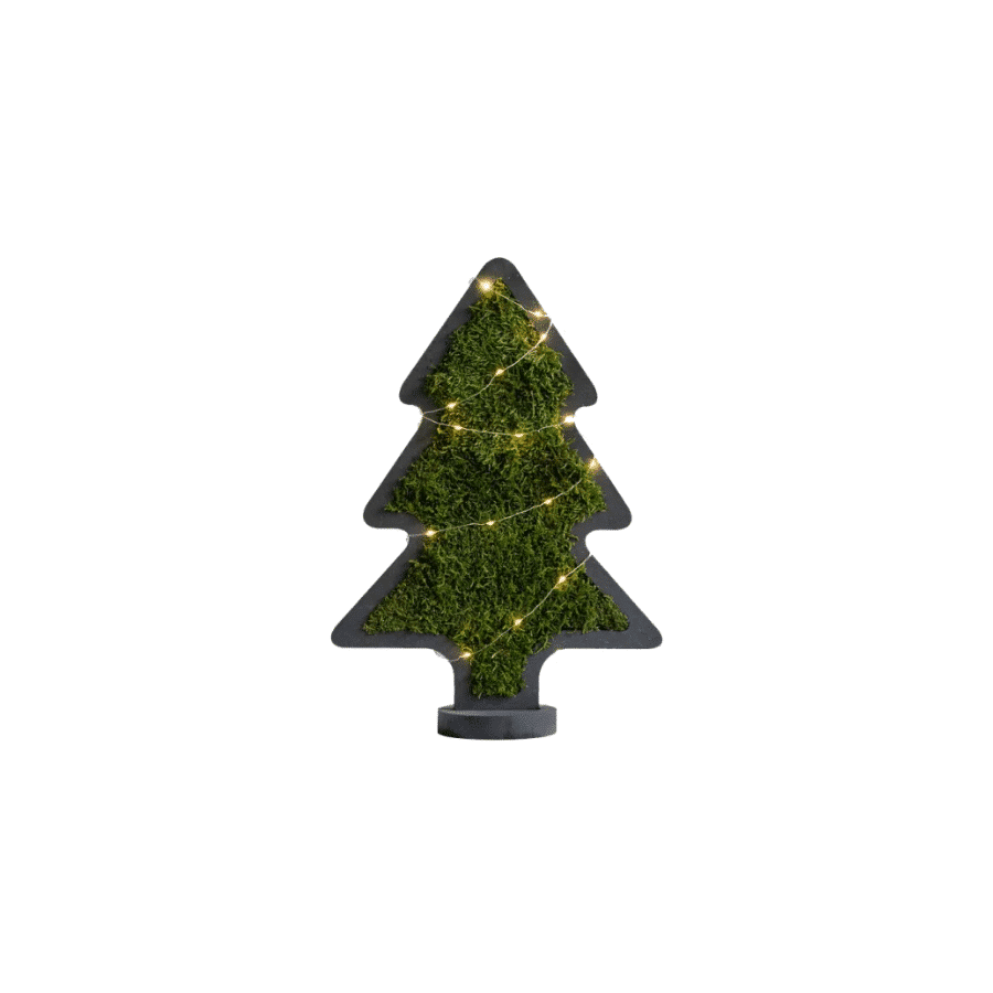 bestofGREEN_Tannenbaum beleuchtet