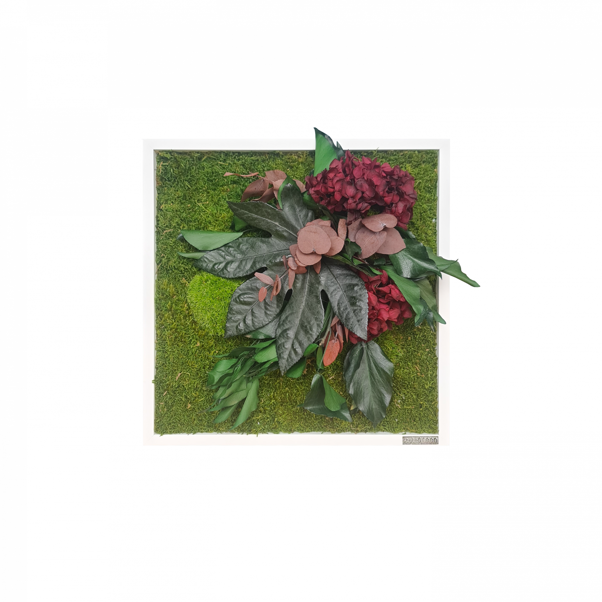 Pflanzenbild im Dschungeldesign mit roter Hortensie 35x35_1