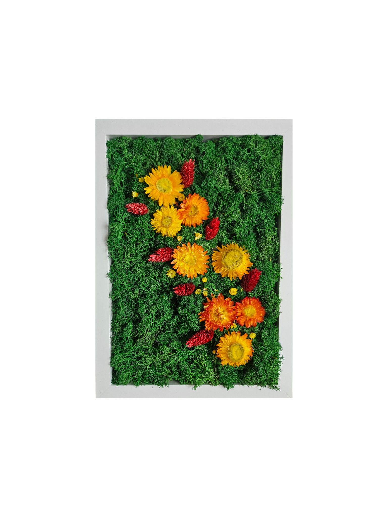 Islandmoosbild mit Blumen 3