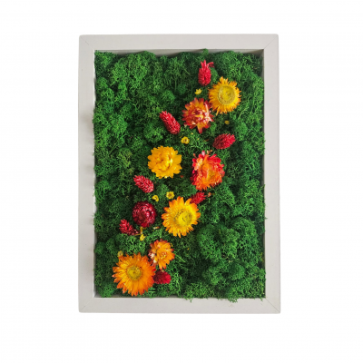 Islandmoosbild mit Blumen Lina Bild.jpeg