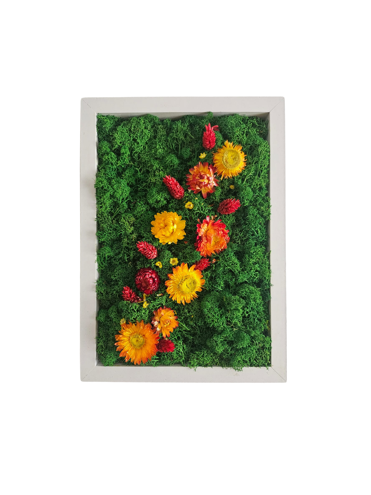 Islandmoosbild mit Blumen Lina Bild.jpeg