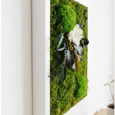 Moosbild mit Hortensien Klara 3 2x