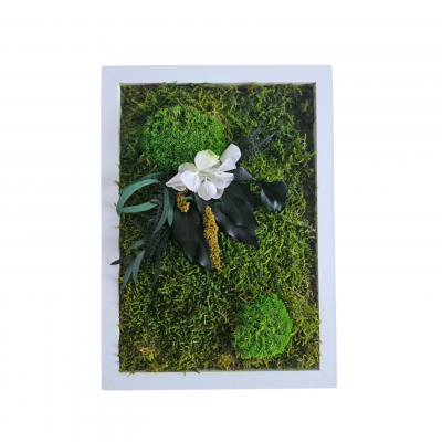 Moosbild mit Hortensien Klara Bild.jpeg