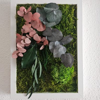 Moosbild mit Pflanzen Rosali 1