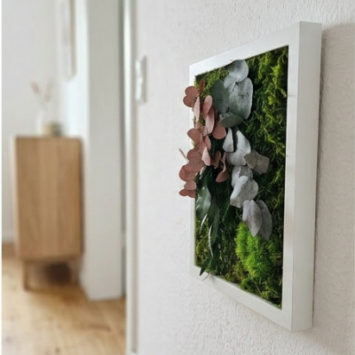 Moosbild mit Pflanzen Rosali seitlich