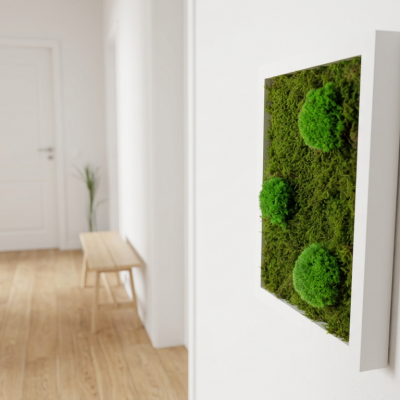 Wald- und Kugelmoosbild 22,5 x 32,5 cm